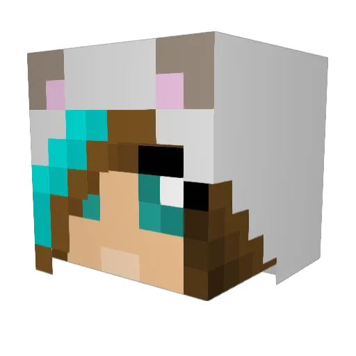 Bubblecat360 Minecraft avatar head, 3D render