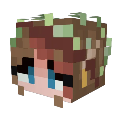 Bubblegum34898 Minecraft avatar head, 3D render