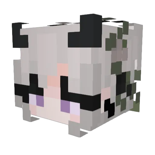 Bubblegum_20 Minecraft avatar head, 3D render