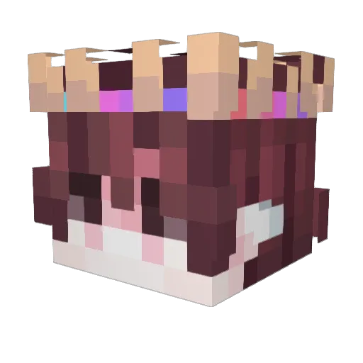 Bubblegum_Tree Minecraft avatar head, 3D render