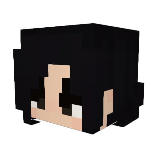 Bubblegumbeach1 Minecraft avatar head, 3D render