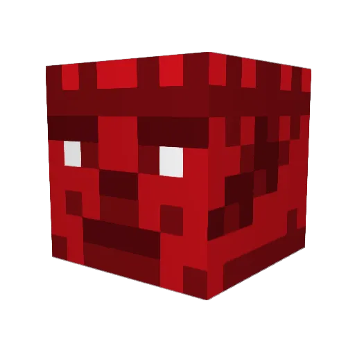 Bubbleofa Minecraft avatar head, 3D render