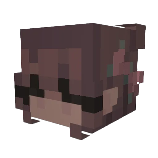 Bubblepop52 Minecraft avatar head, 3D render