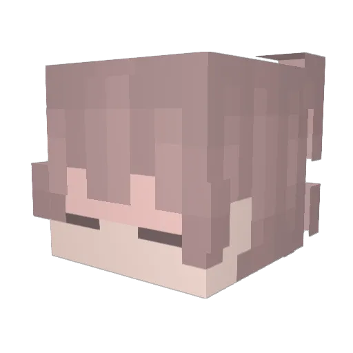 Bubbles0432 Minecraft avatar head, 3D render