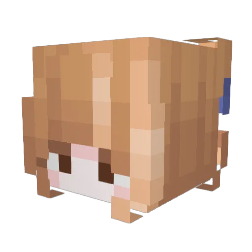 Bubbles19042154 Minecraft avatar head, 3D render