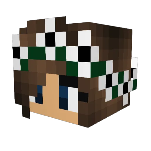 Bubbles192 Minecraft avatar head, 3D render