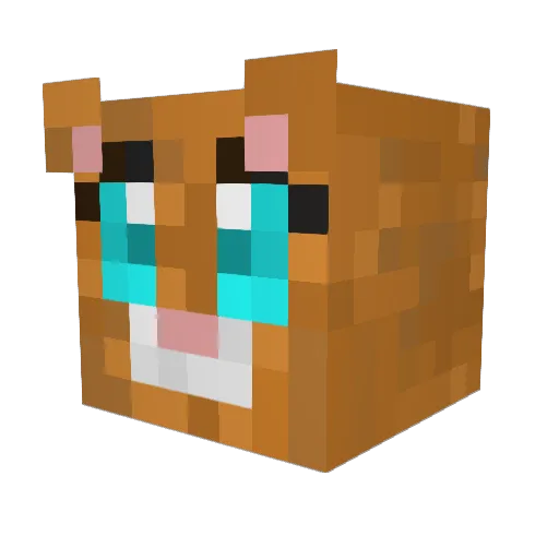 Bubbles2698 Minecraft avatar head, 3D render