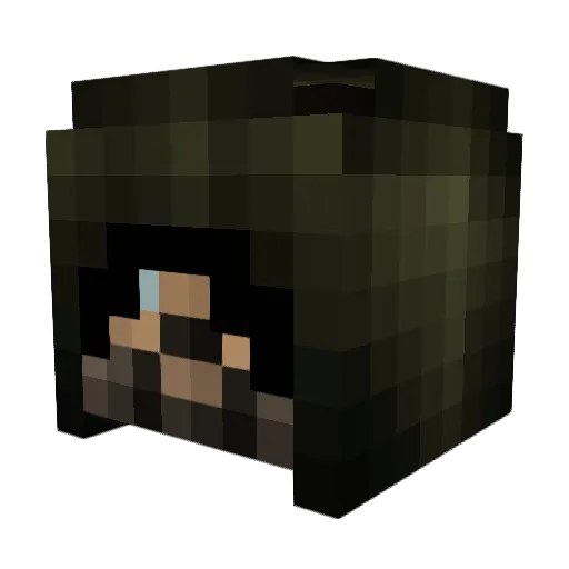 Bubbles307 Minecraft avatar head, 3D render