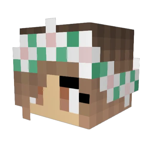 Bubbles317 Minecraft avatar head, 3D render