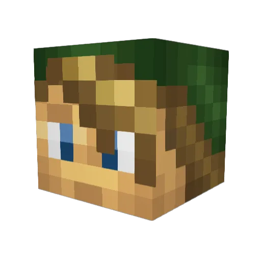 Bubbles6289 Minecraft avatar head, 3D render