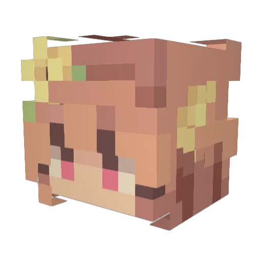 Bubbles806 Minecraft avatar head, 3D render