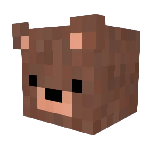 BubblesBird Minecraft avatar head, 3D render