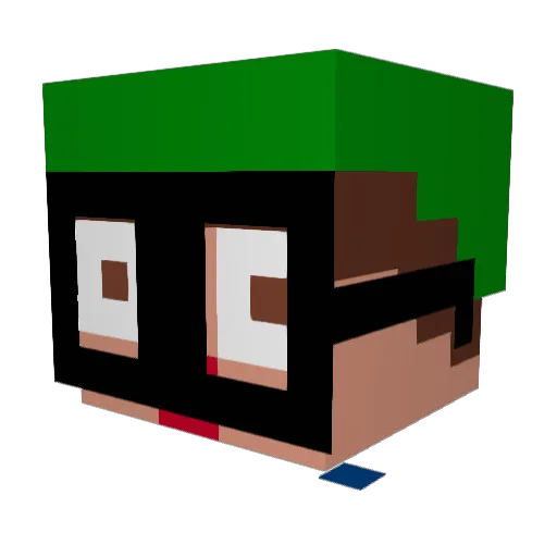 BubblesNoZyns Minecraft avatar head, 3D render