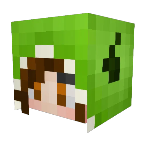 BubblesOo Minecraft avatar head, 3D render