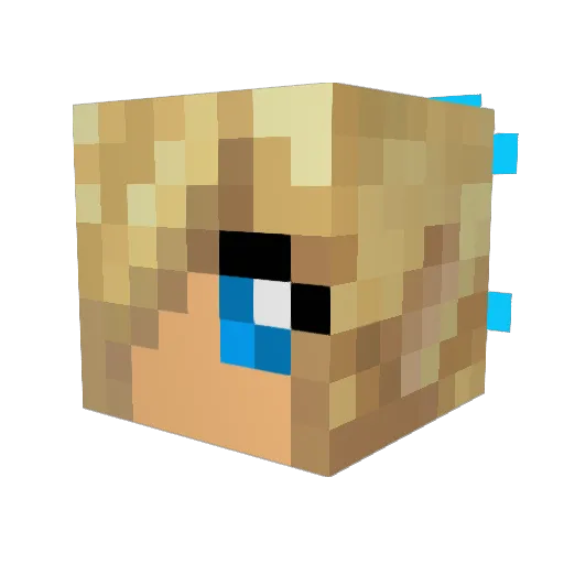 Bubbles_456 Minecraft avatar head, 3D render