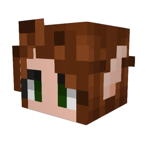 Bubblesmycat Minecraft avatar head, 3D render