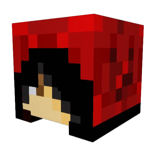 BubblezInfinity Minecraft avatar head, 3D render