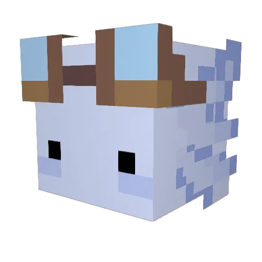 Bubblis17 Minecraft avatar head, 3D render