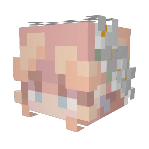 Bubblxs75 Minecraft avatar head, 3D render