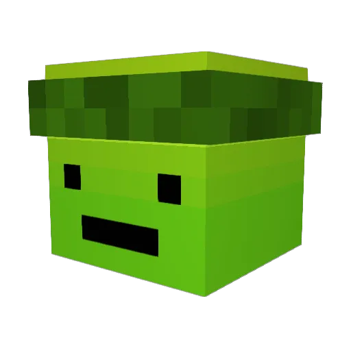 Bubbly3998 Minecraft avatar head, 3D render