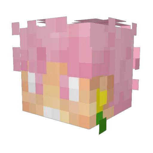 BubblyBooi Minecraft avatar head, 3D render