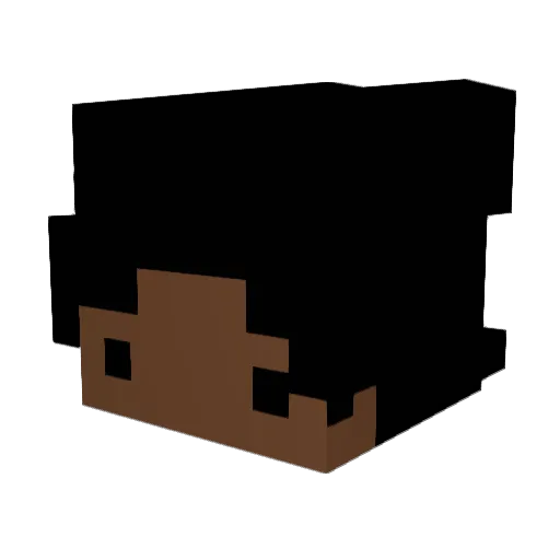 BubblyFly2TheSky Minecraft avatar head, 3D render