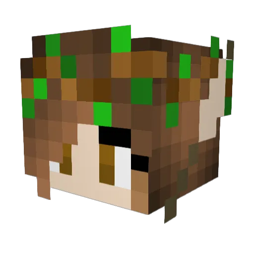 BubblyHope Minecraft avatar head, 3D render