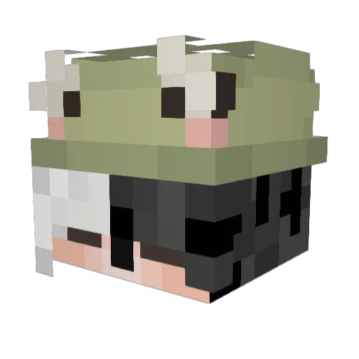 Bubbly_Boi_ Minecraft avatar head, 3D render