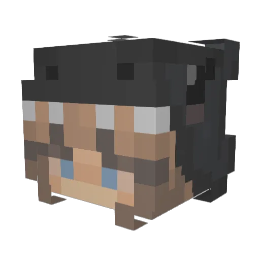 Bubbly_Panda Minecraft avatar head, 3D render