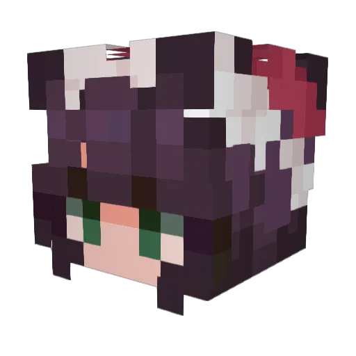 Minecraft-Avatar von Bubblybram: Kopf als 3D-Render