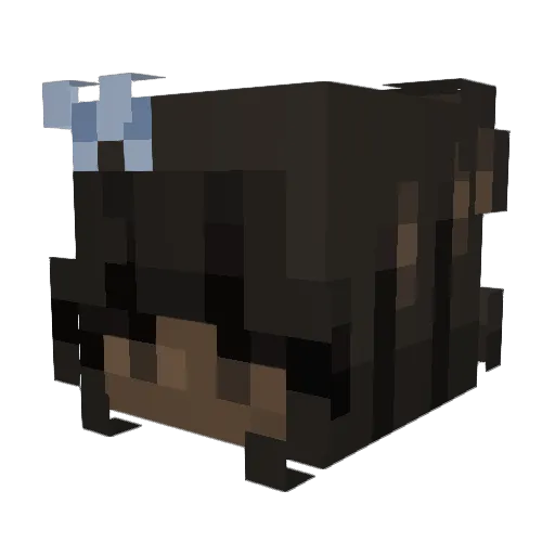 Bubblymiri Minecraft avatar head, 3D render