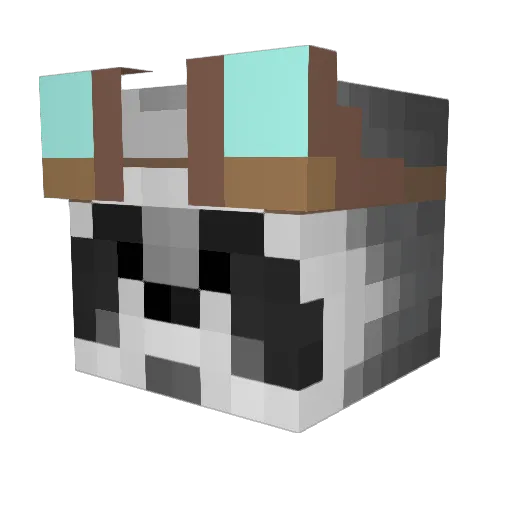 Bubbole Minecraft avatar head, 3D render