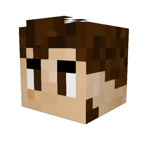 Bubbs0909 Minecraft avatar head, 3D render