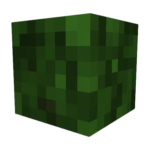 Bubbs1302 Minecraft avatar head, 3D render
