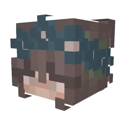 Bubbster Minecraft avatar head, 3D render