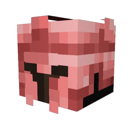 Bubez Minecraft avatar head, 3D render