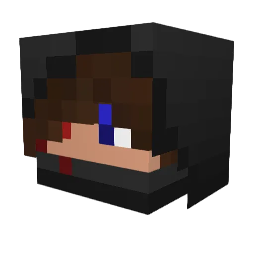 Buble_Tox Minecraft avatar head, 3D render