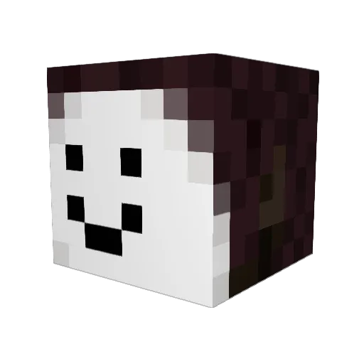 Bublubs Minecraft avatar head, 3D render
