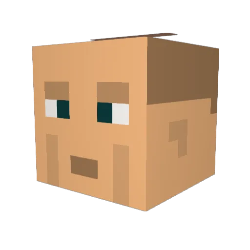 Bublykos Minecraft avatar head, 3D render
