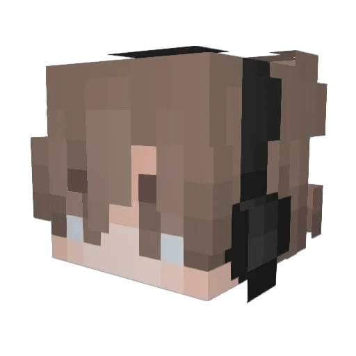 Bubrr Minecraft avatar head, 3D render