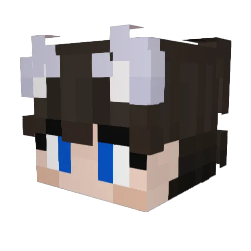 BucQyPL Minecraft avatar head, 3D render