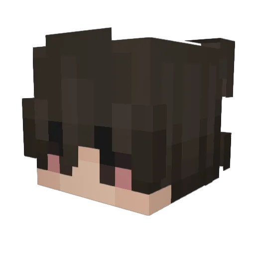 BucarPro Minecraft avatar head, 3D render