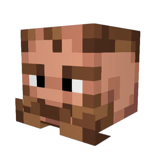 Buce_ Minecraft avatar head, 3D render