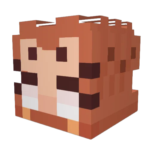 Buchanka123 Minecraft avatar head, 3D render