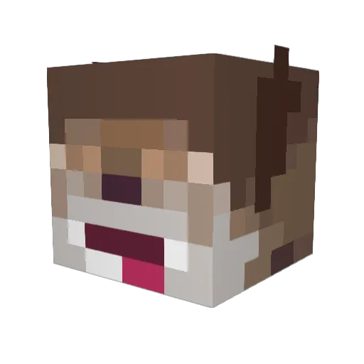 Buck_113 Minecraft avatar head, 3D render