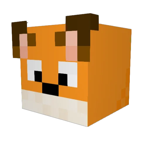 Buck_2 Minecraft avatar head, 3D render