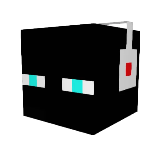 Buckaroo_7 Minecraft avatar head, 3D render