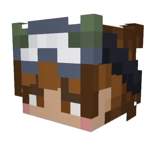 BuckedChunk8628 Minecraft avatar head, 3D render