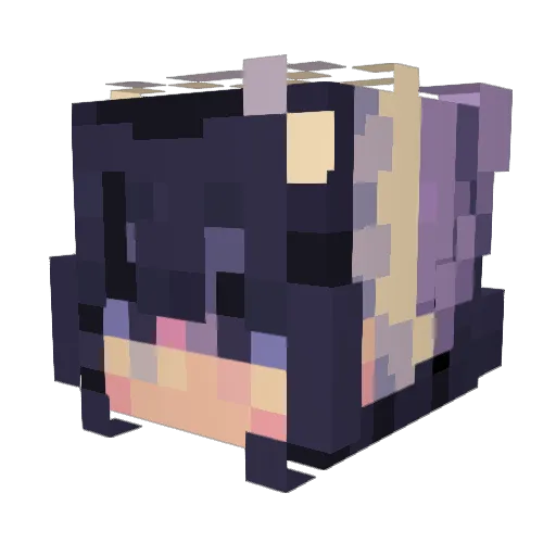 BuckelFips42 Minecraft avatar head, 3D render