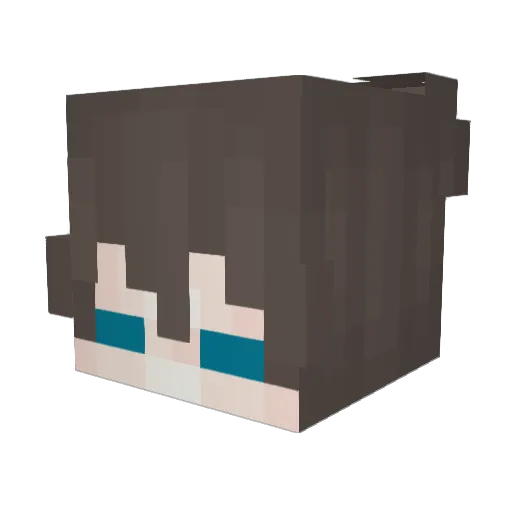 BucketXD Minecraft avatar head, 3D render